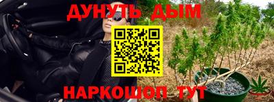 марихуана Аргун