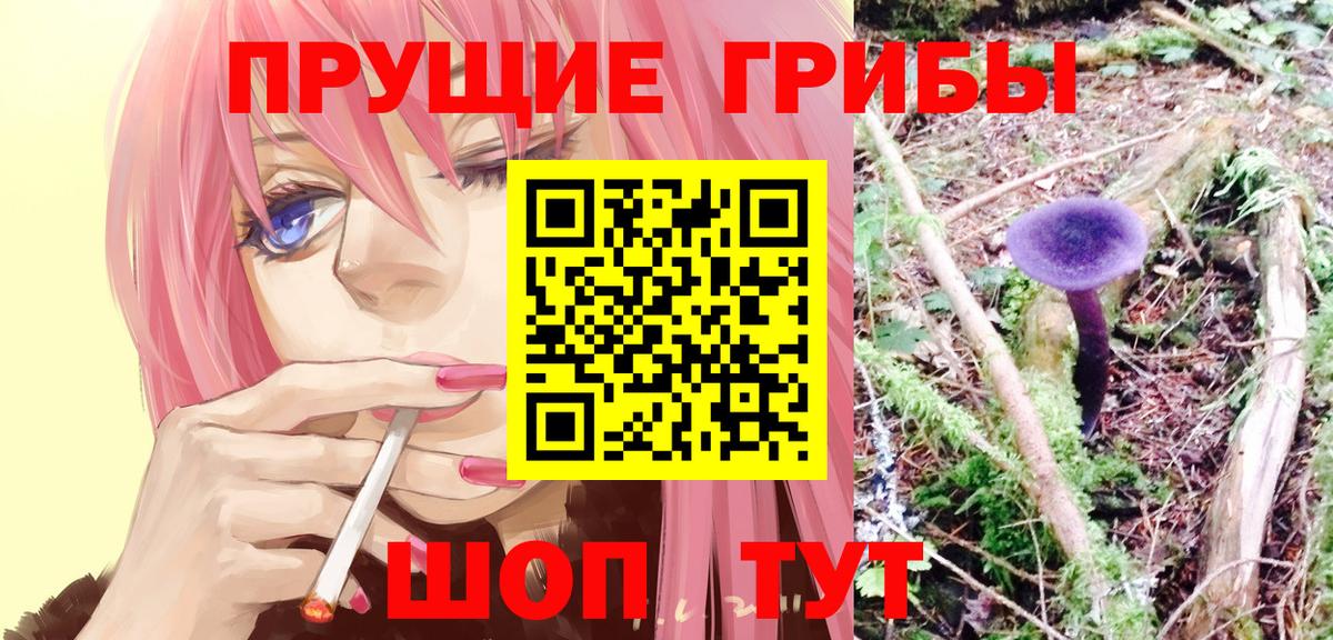 Галлюциногенные грибы Cubensis Апрелевка